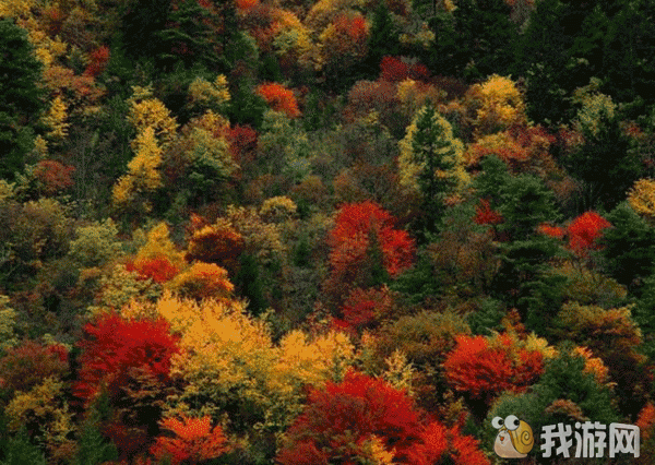 ΢�������ͼ_20120815082303.gif