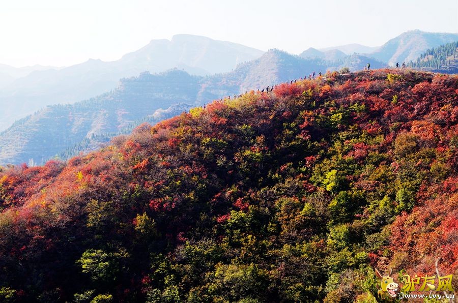 IMGP4218_����.jpg