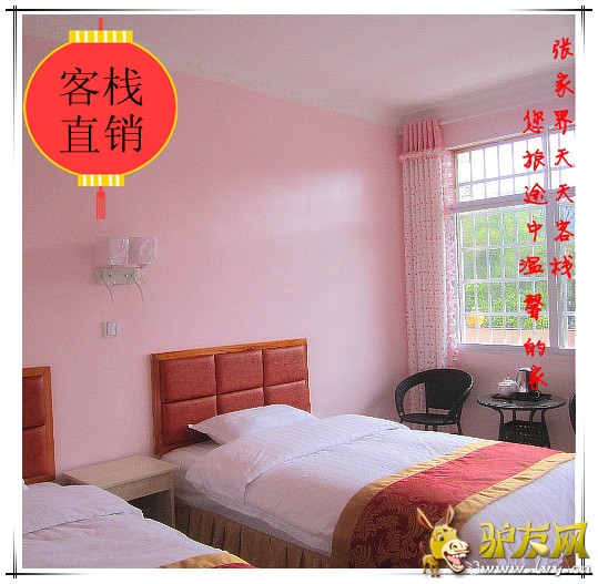 双标间封面2.jpg