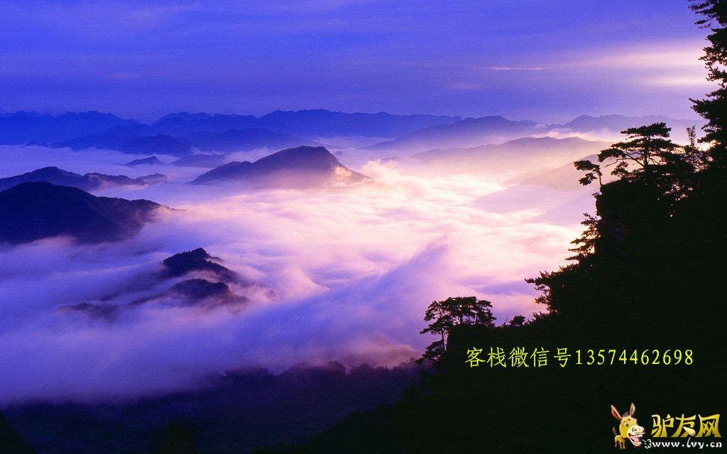 5_副本 微信号.jpg