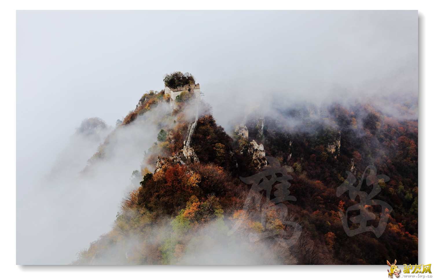 3B9A0748_����.jpg